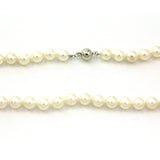 14k White Gold Cultured Pearl Strand Necklace, 18"